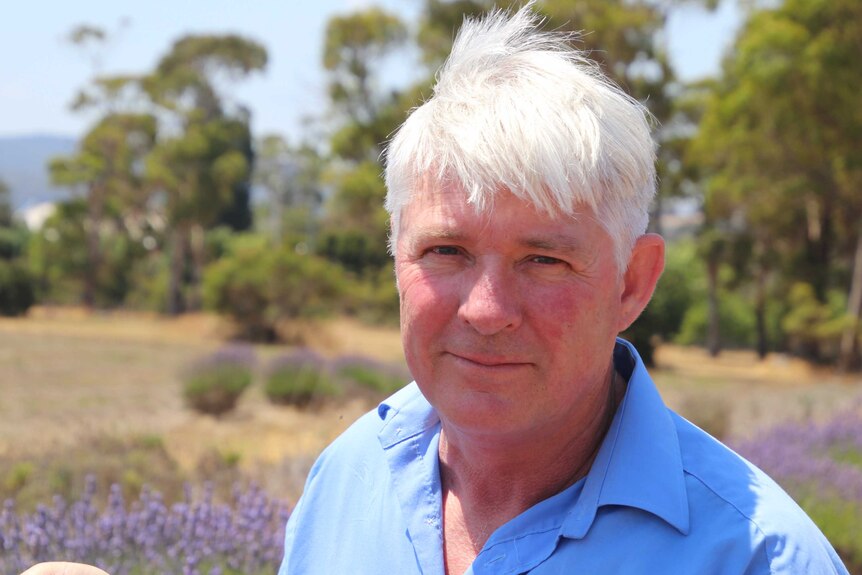 Tony Cox, lavender farmer, stands in a field of lavender.