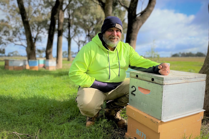 A smiling man wearing blue  beanie, green fluorescent jacket kneels beside beehives under a blue sky, trees, and in a park.