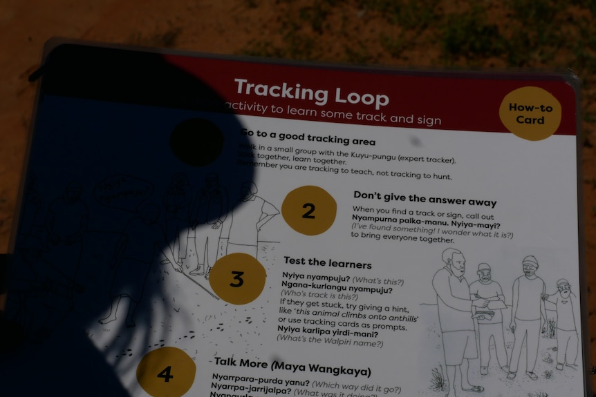 A shadow falls over an A4 Tracking loop learning resource card with instructions on how to identify animals.
