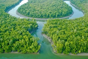 Ducie River, Cape York Peninsula (Glenn Walker: Supplied)