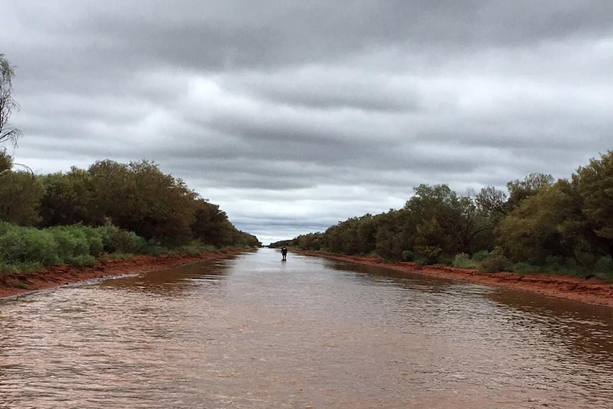 Tanami road covered in water just outside of Yuendumu
