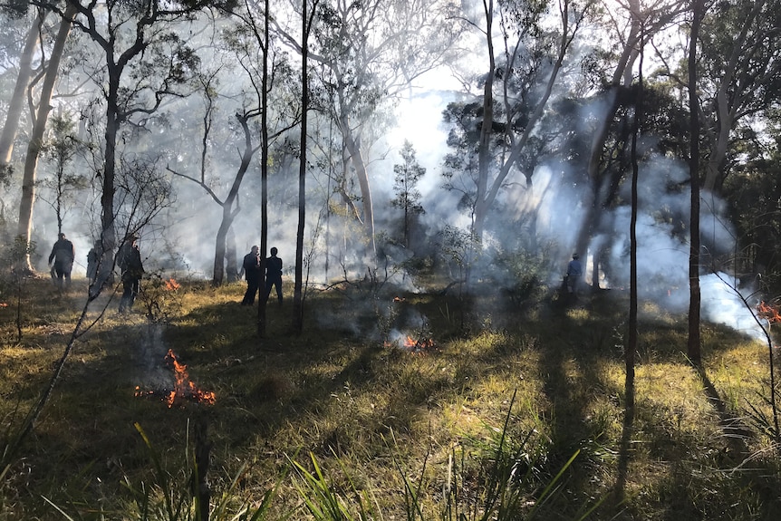 A group of people stand in Australian bushland while small fires burn
