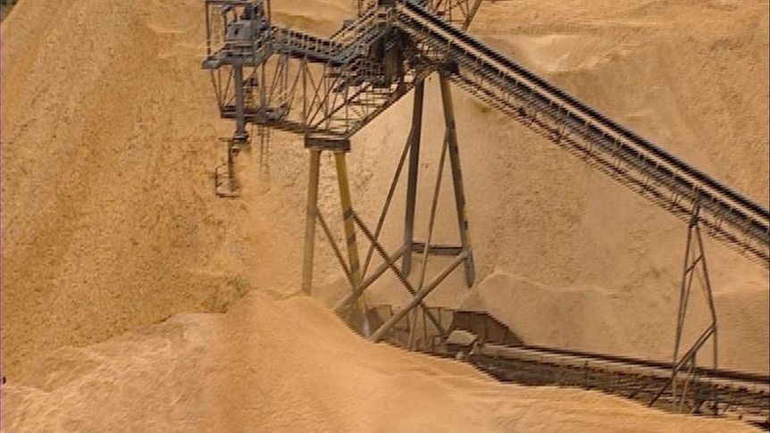 Woodchip pile and conveyor belt, Gunns Longreach mill Tasmania