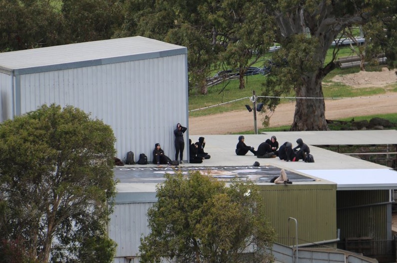 Protesters against animal cruelty on the roof of a South Australian abattoir.