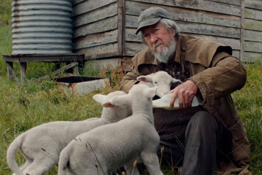 Movie still man with grey beard sits on grass feeding multiple lambs with a bottle 
