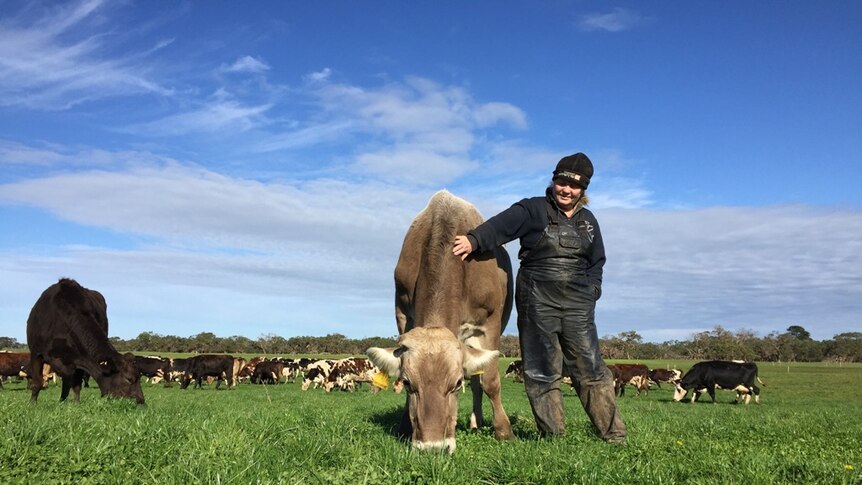 South Australian dairy farmer Lorraine Robertson, originally from New Zealand, grappling with milk price cuts