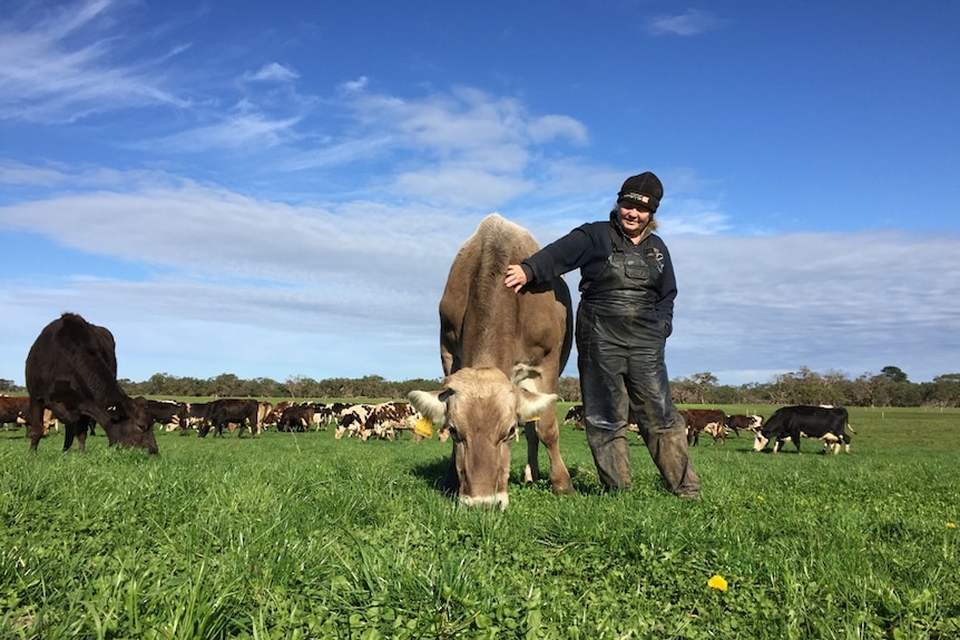 South Australian dairy farmer Lorraine Robertson, originally from New Zealand, grappling with milk price cuts