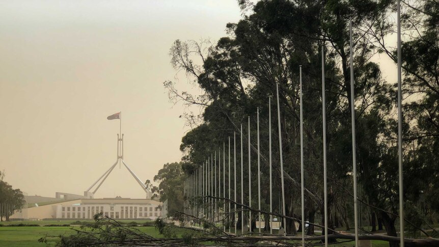 A tree lies on the ground, and Parliament House can be seen in the background.