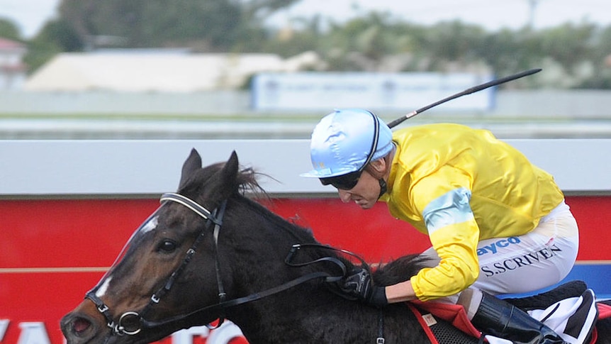 Another Doomben Cup... Shane Scriven and Scenic Shot (left) power to victory.