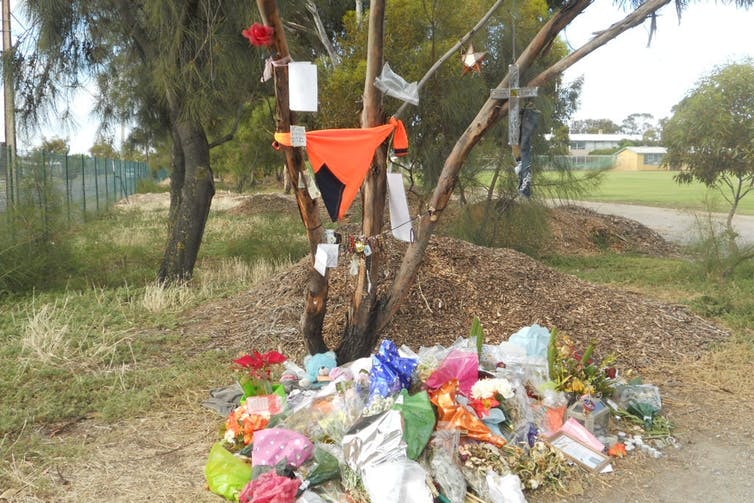 Flowers scattered at the bottom of a tree and flowers and notes are hung from branches in roadside tribute.