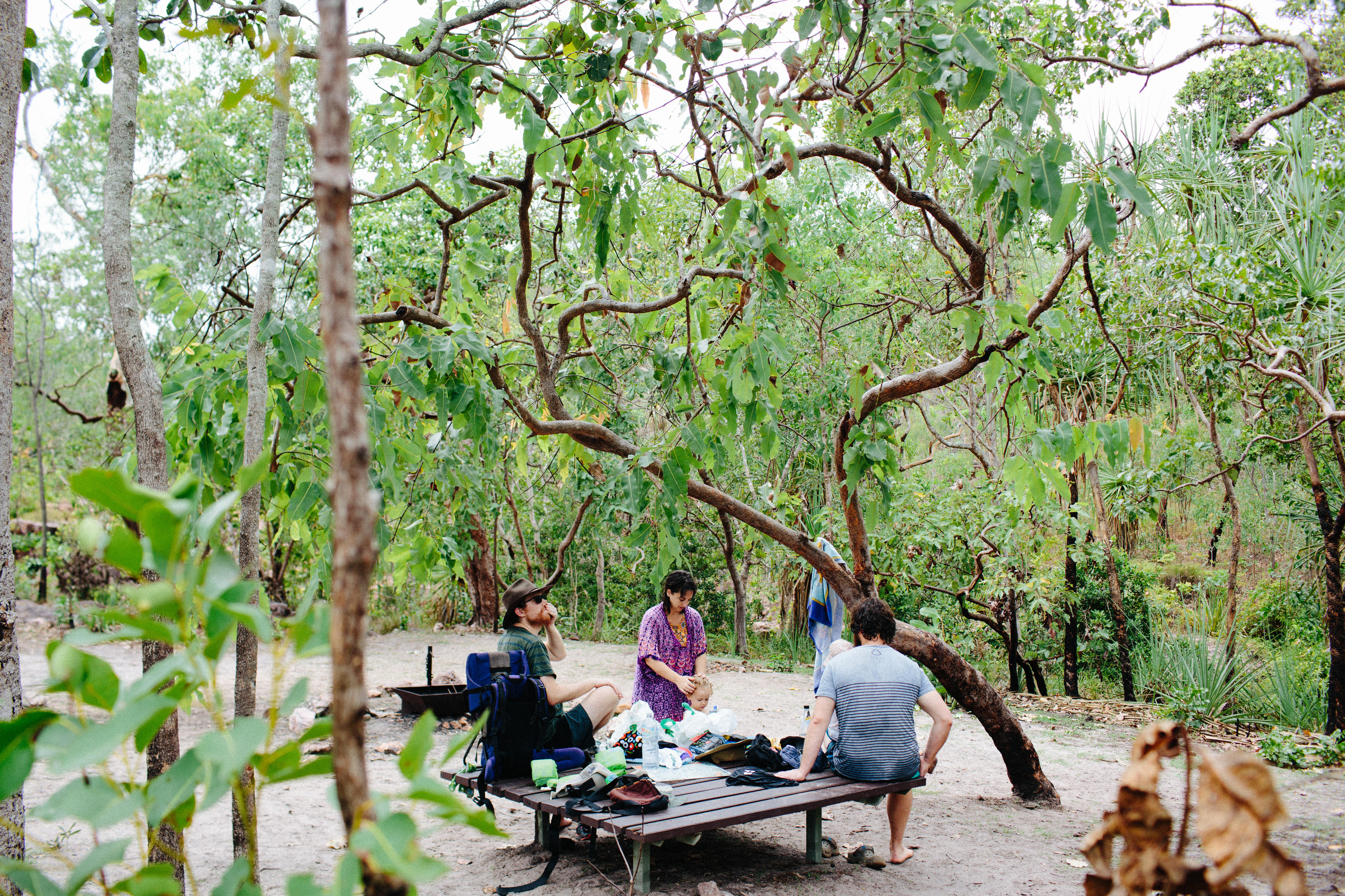 Três pessoas sentam-se num banco de madeira rodeado por árvores.