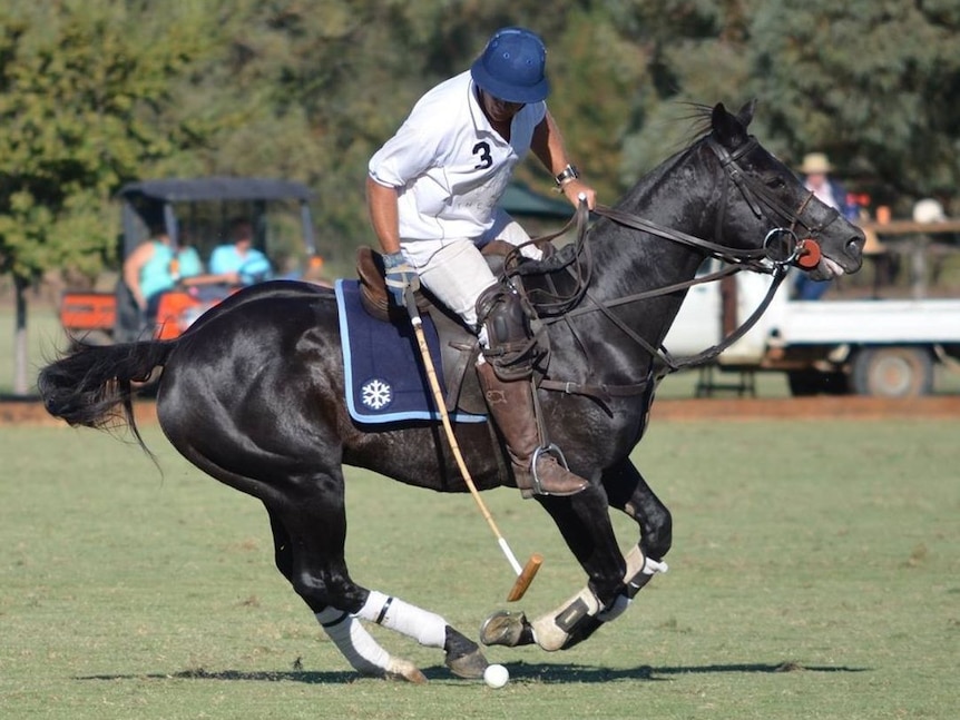 Former Australian polo team captain Andrew Williams on a horse.