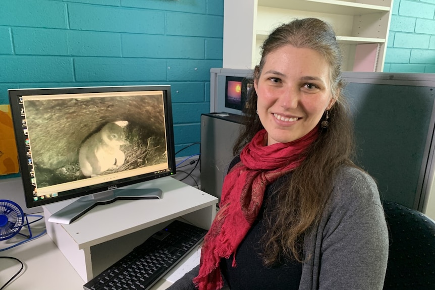 Penguin ecologist Dr Diane Colombelli-Negre sits at a computer