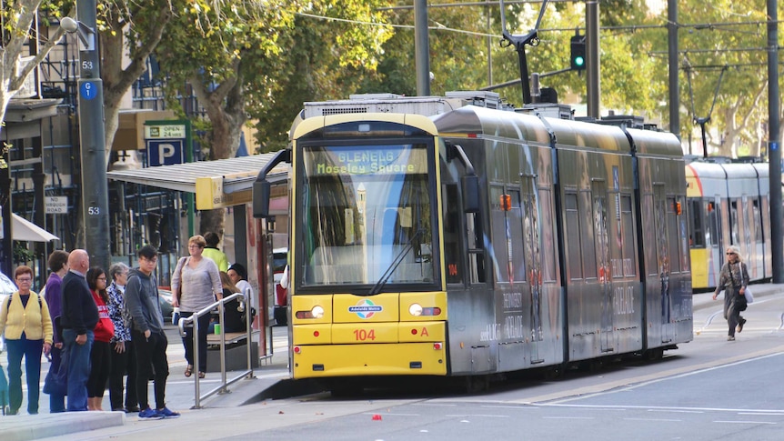 Adelaide tram on North Terrace