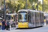 Adelaide tram on North Terrace