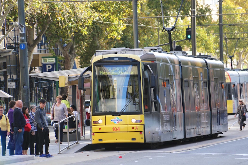 Adelaide tram on North Terrace