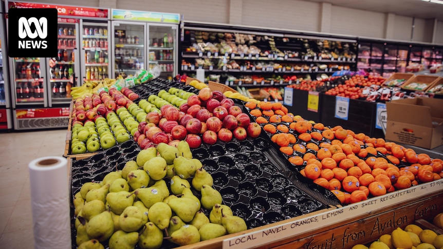 Albanese's Game-Changing Promise: Locking Grocery Prices in Remote Areas to City Rates!