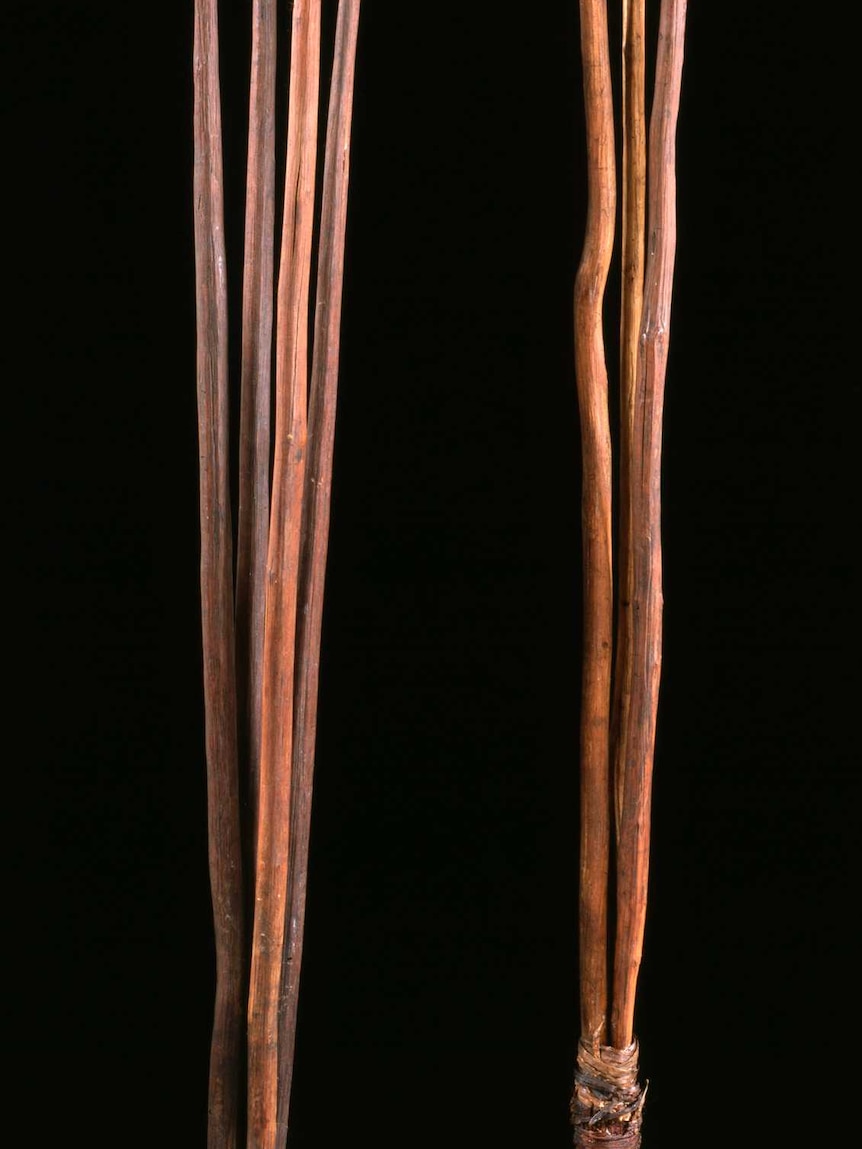Two Indigenous spears from centuries ago, lying side by side.