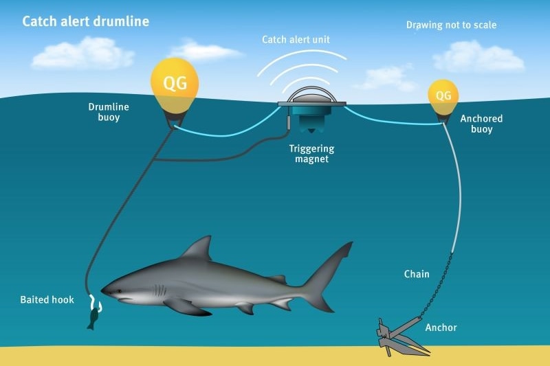 A diagram of how the system works. 