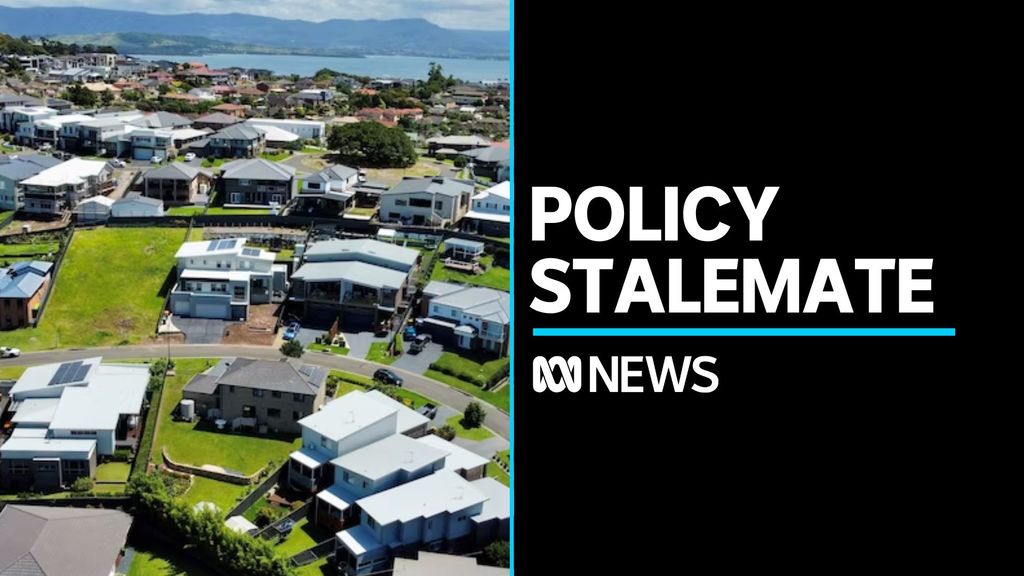 US gun debate - ABC News