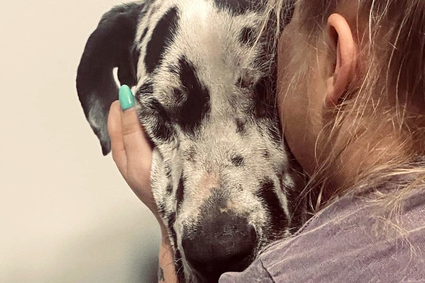 A woman hugs a dog's head