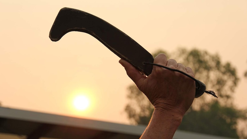 A photo of an underwater hockey stick being held up in the sunlight.