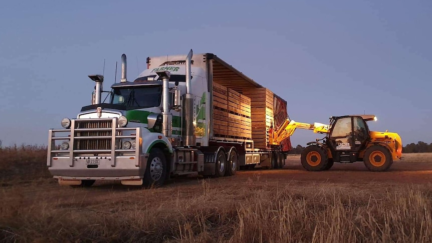 A semi-trailer with a smaller truck loading pallets