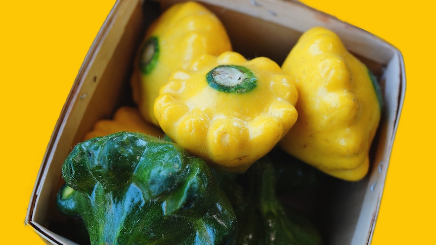 Yellow and green squash in a container with a bright yellow background.