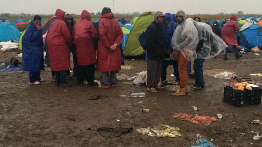 Asylum Seekers huddling at the Roszke Camp.jpg
