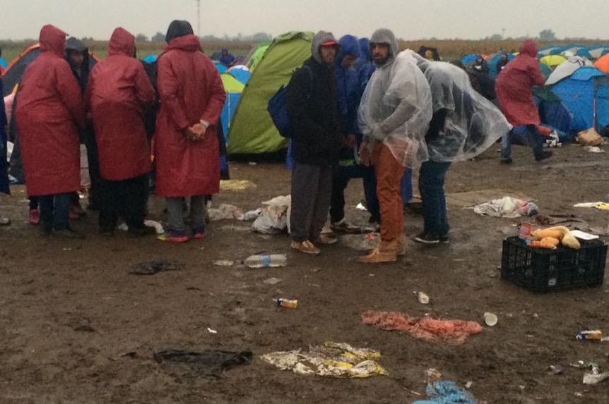 Asylum Seekers huddling at the Roszke Camp.jpg