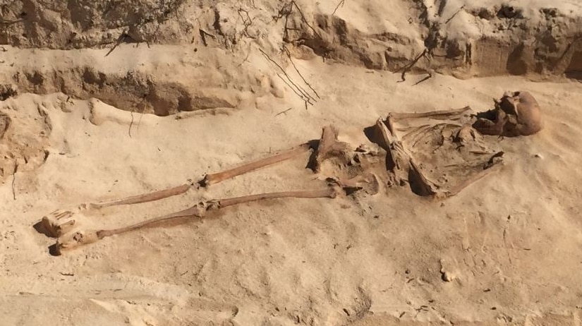 Batavia skeleton unearthed