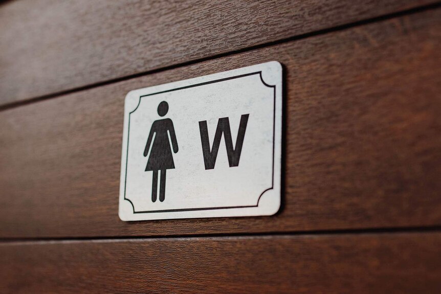 A close-up of a female sign on the door of a women's toilet.