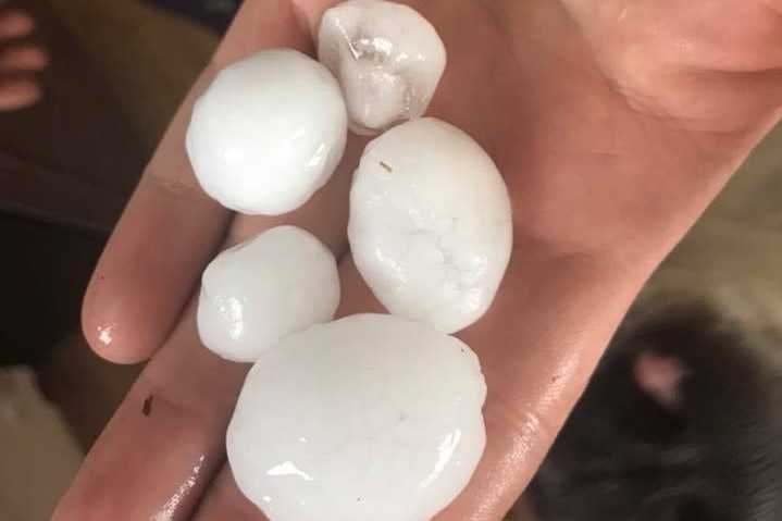 Five small hailstones in a person's hand