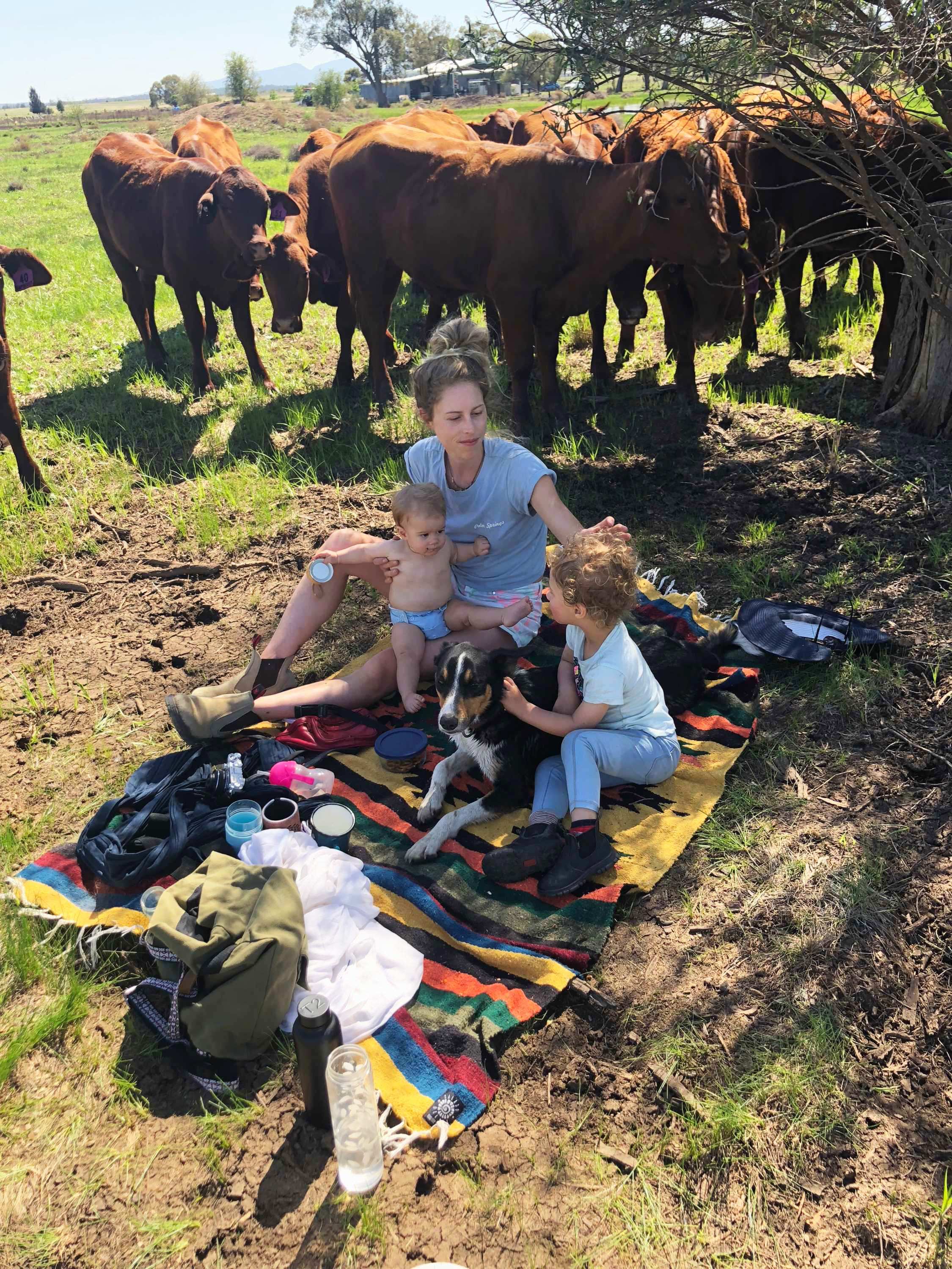 Virginia Tapscott have a picnic with her kids as cows watch on for a story about reducing household waste.