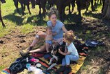 Virginia Tapscott have a picnic with her kids as cows watch on for a story about reducing household waste.