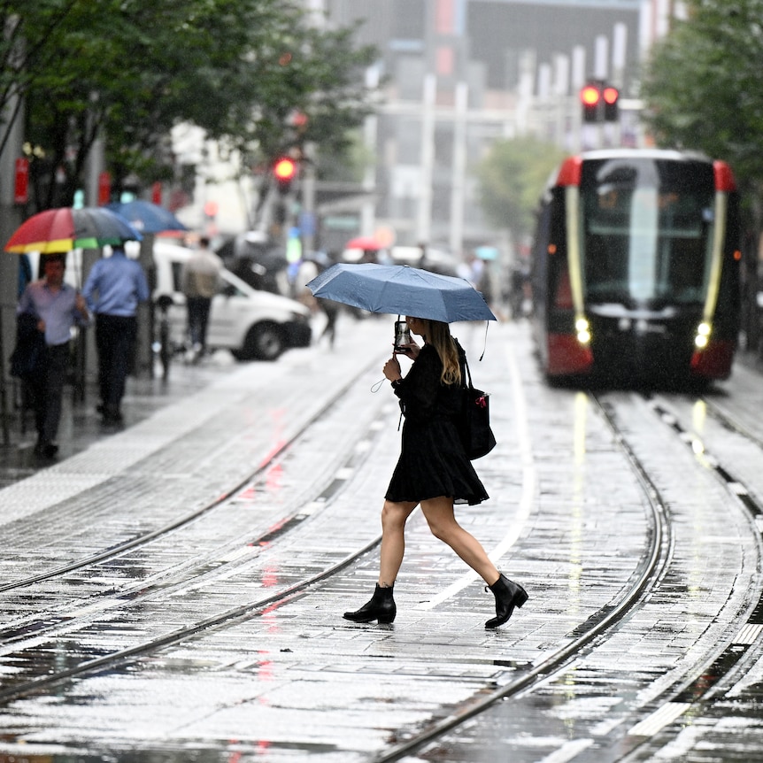 People are seen carrying umbrellas as rain falls in Sydney