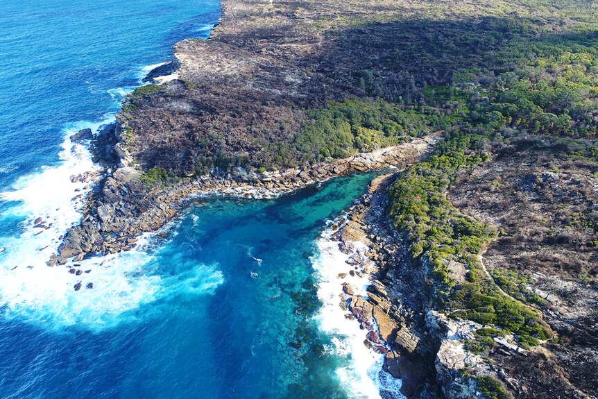 An aerial view of the Royal National Park south of Wattamolla shows regeneration along the coastline.