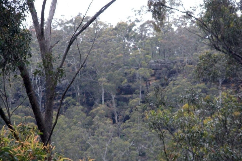 A cliff that was a site for the 1816 Appin Massacre.