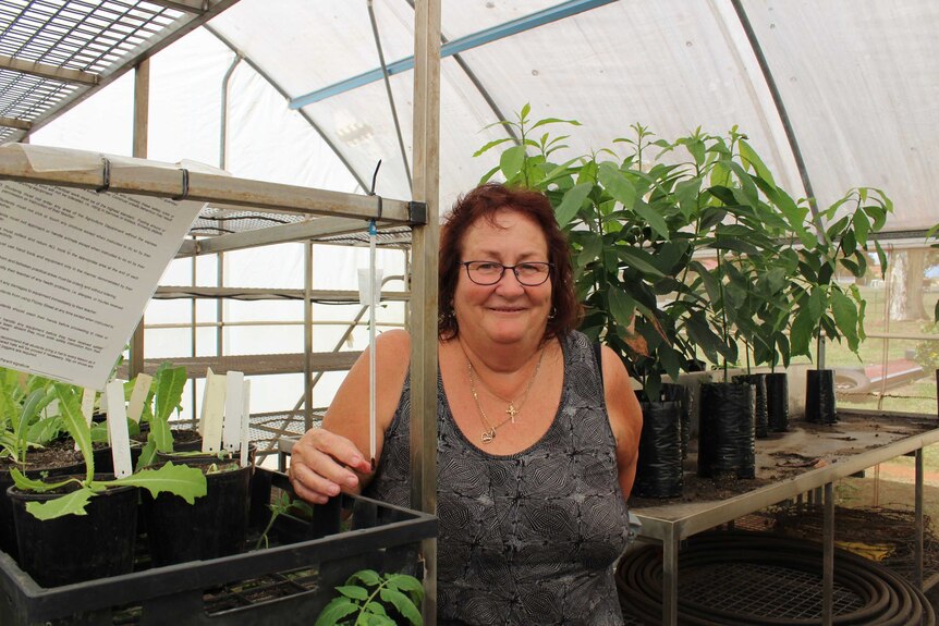 Secretary of the Childers Fruit and Vegetable Growers' Association Donna Duncan stands in a hothouse at the Childers high school