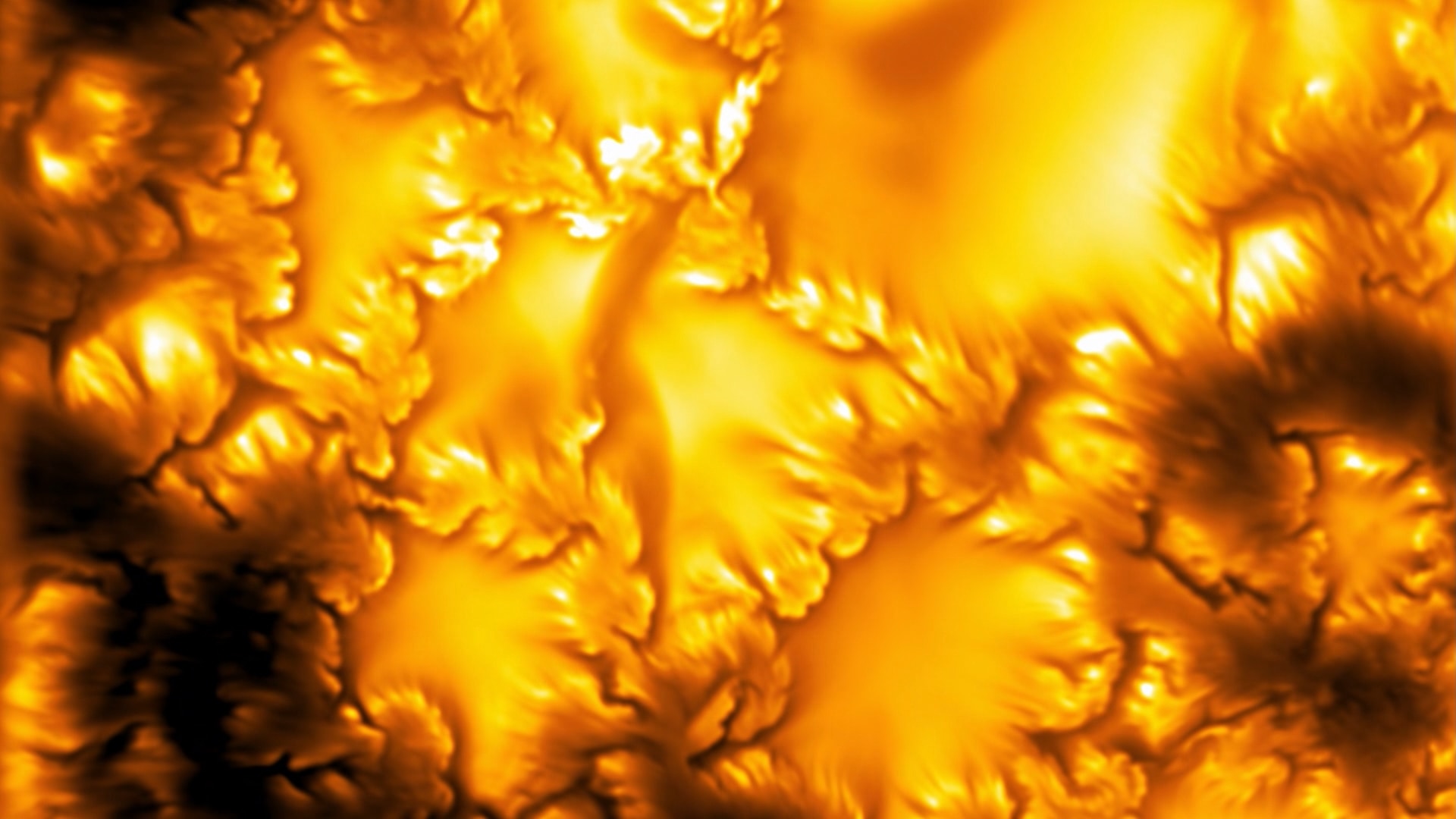 Telescope image of the sun's surface.