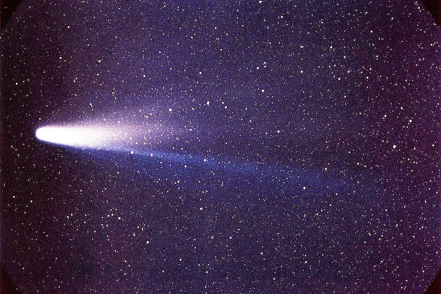 Halley's Comet rushes through the night sky, surrounded by stars. It's tail is a mixture of blue, red and purple.