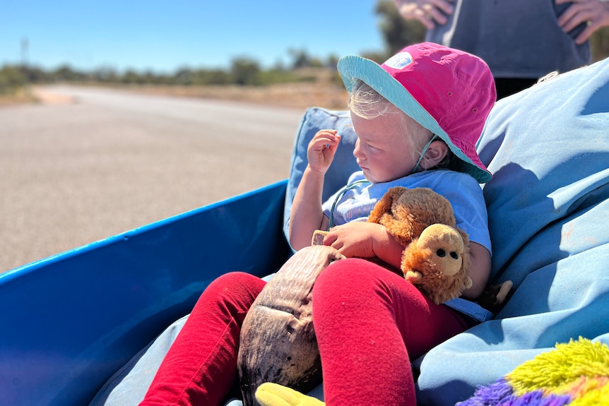 A two-year-old girl sits in a wheelbarrow holding a plush monkey and a coconut.