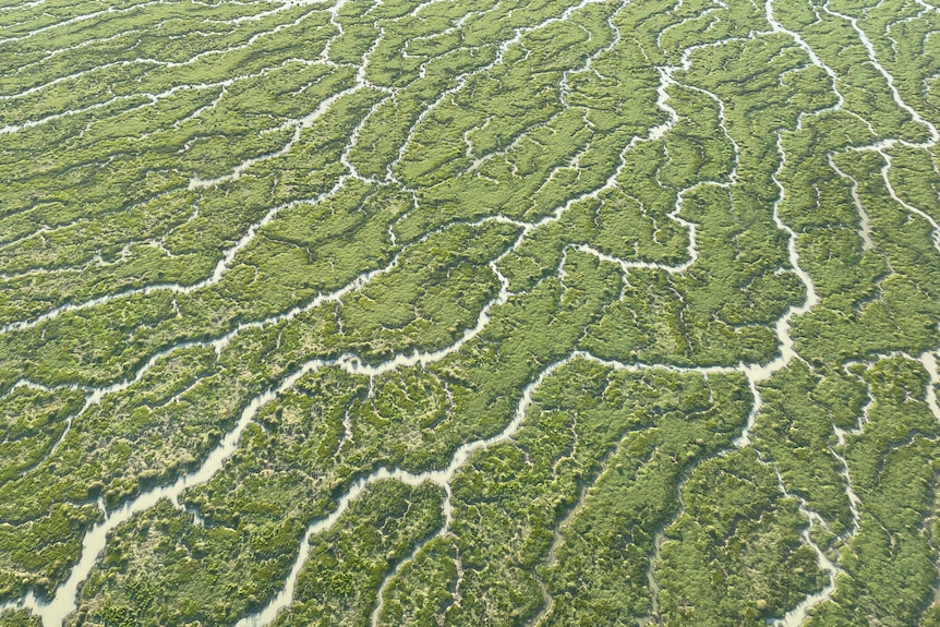 Channel Country in flood as seen from the air