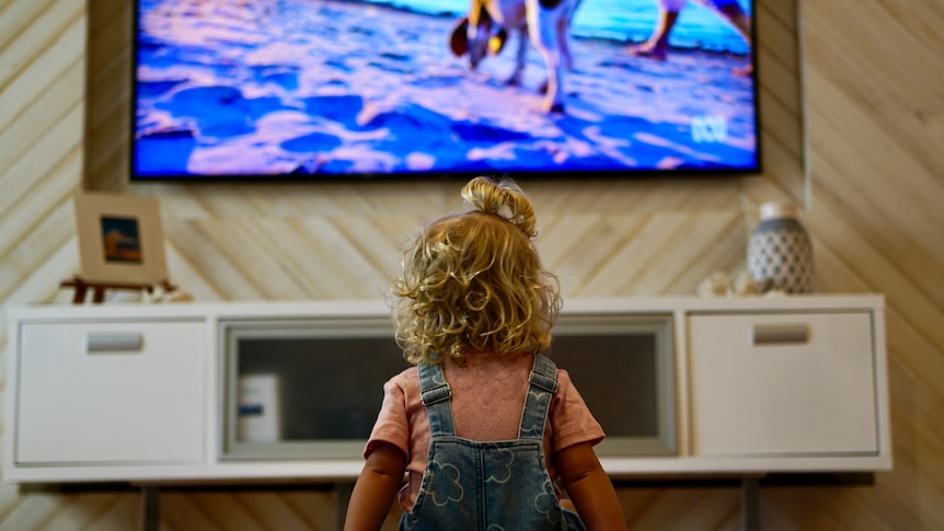 Lizzy is sitting on the ground looking up at the TV, which is showing an image of a woman and a dog walking along the beach.