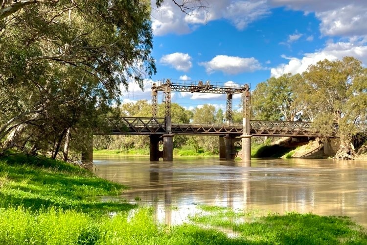 Wilcannia, Darling, River, flowing