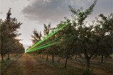 The Bird Beam laser system in action at an orchard