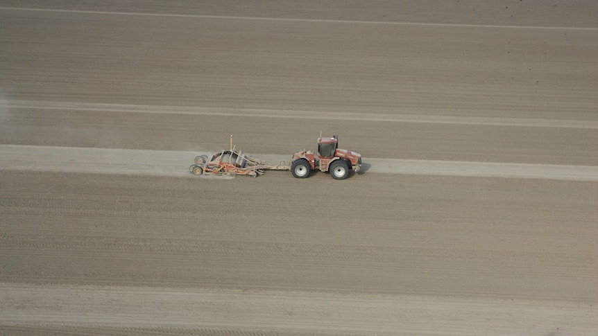 Grading empty fields at Tandou cotton farm