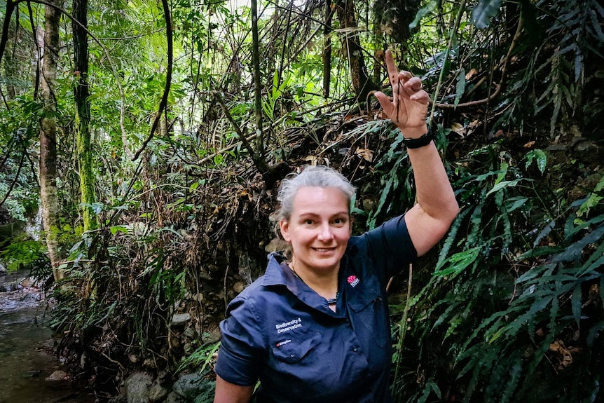 Woman in blue NSW Government uniform points to a bat hanging from a branch of a tree.