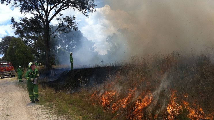 Prescribed burn - Bonegilla, Victoria