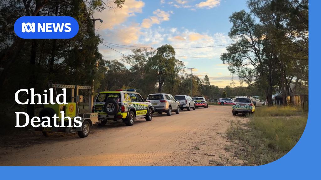 Grandmother arrested after children found dead in regional NSW - ABC News